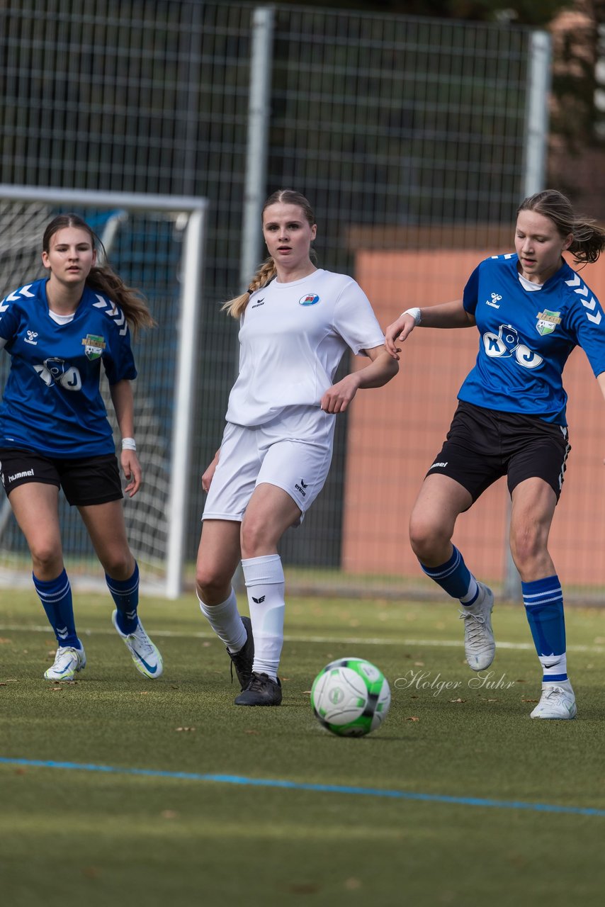 Bild 116 - wBJ Alstertal-Langenhorn - VfL Pinneberg : Ergebnis: 2:3